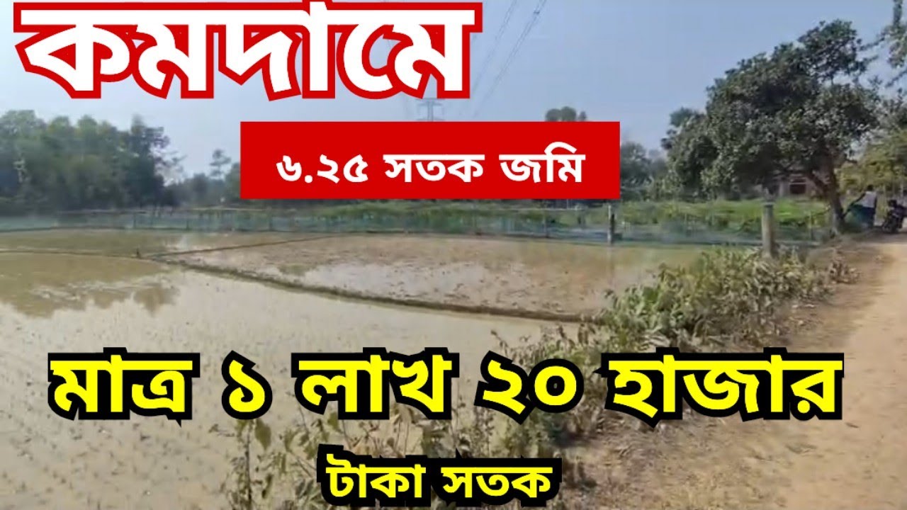 কমদামে ৬.২৫ সতক জমি বিক্রয় হবে | jomi bikroy | jomi bikri | land sale |  bproperty | জমি বিক্রি 