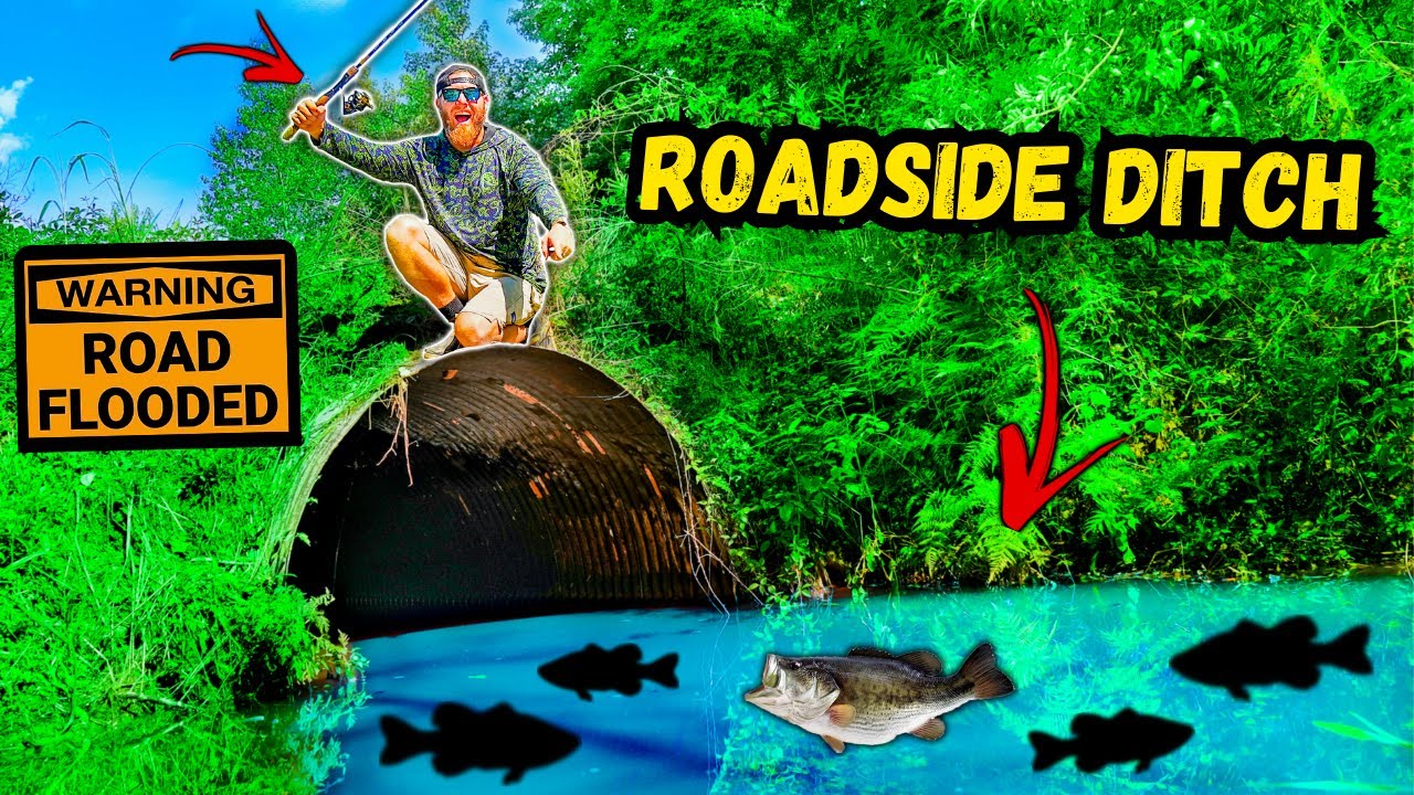 Catching NEW PET FISH in FLOODED Waters!! (Micro Pond UPDATE)
