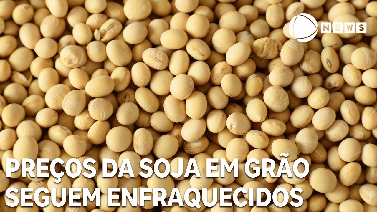 Pre&ccedil;os da soja em gr&atilde;o seguem enfraquecidos