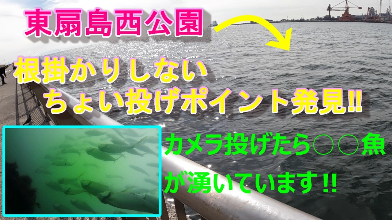 【東扇島西公園】根掛かりしないちょい投げポイント発見！カメラ投げたら○○魚が湧いた！（水中映像）