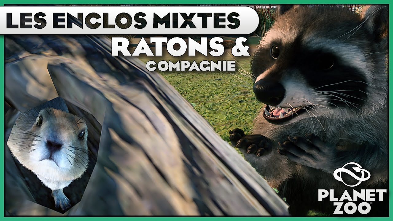 Ratons Laveurs et compagnie… | LES ENCLOS MIXTES : ÉPISODE 11 | PLANET ZOO