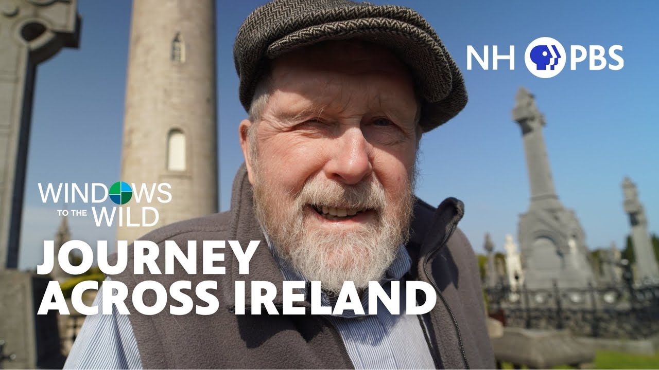 Journey Across Ireland - Windows to the Wild