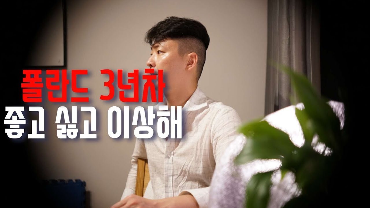 폴란드 살면서 느낀 좋은점·아쉬운점·이상한점