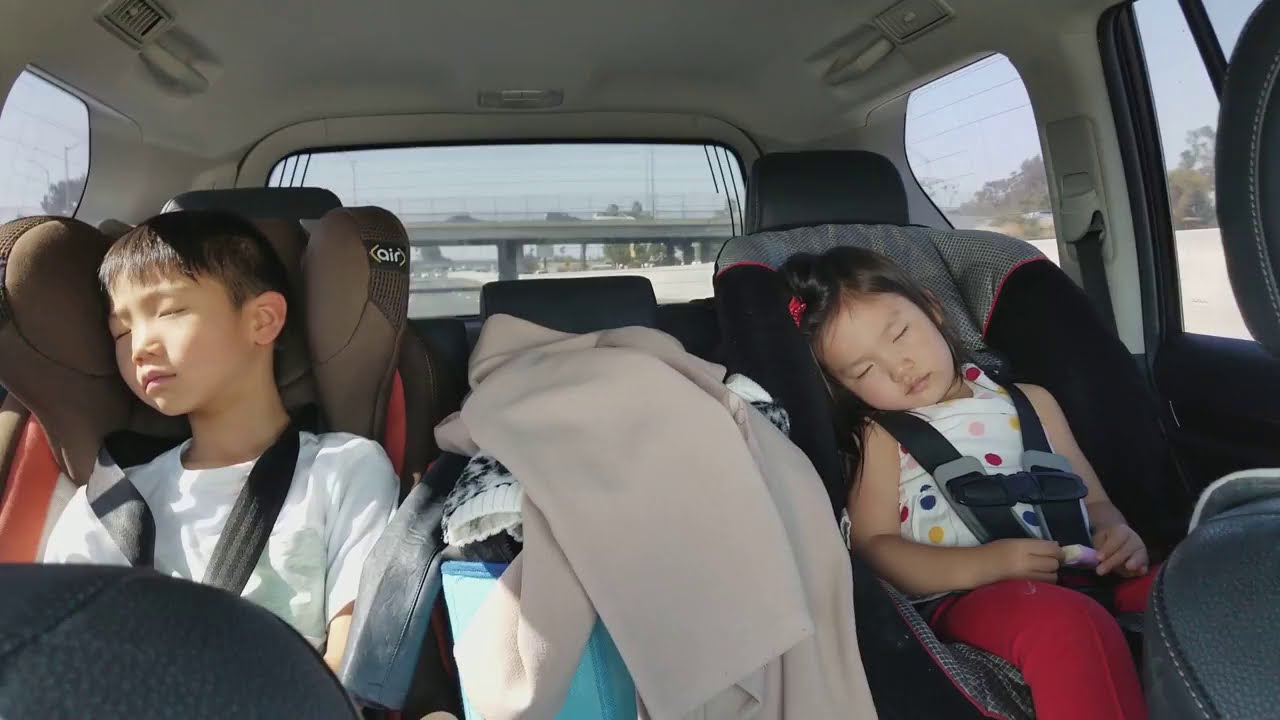 Kids fall asleep in the car in 1 minute watching tablet!