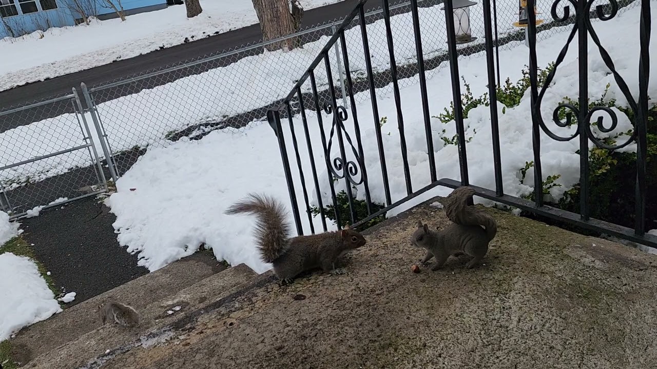 IMPOSTER!