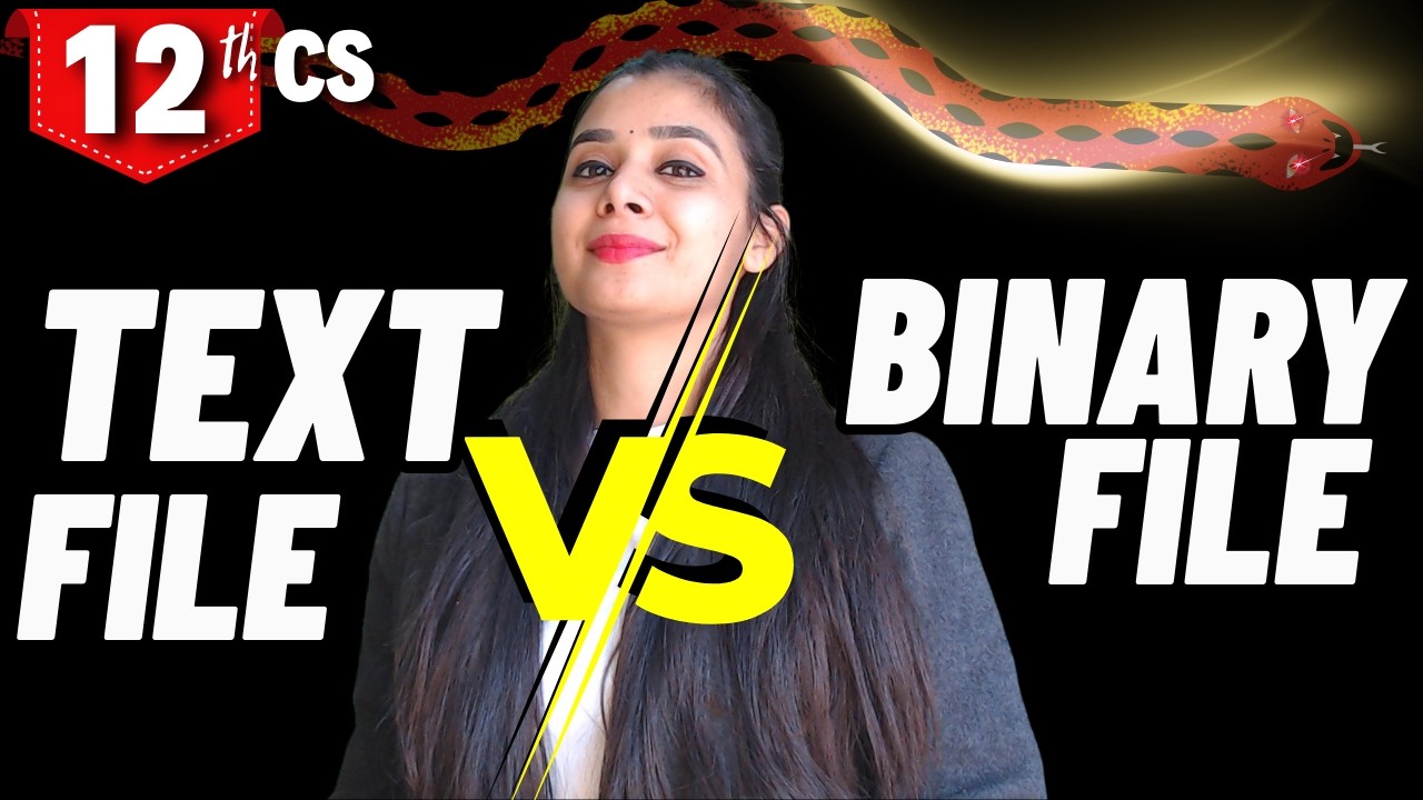 Difference Between Text File and Binary File  | Class 12 CS