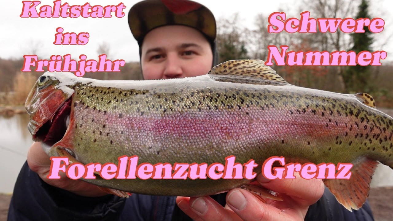 Forellenangeln im Frühjahr an der Forellenzucht Grenz, Wetterumschwung verhindert Saisonstart!