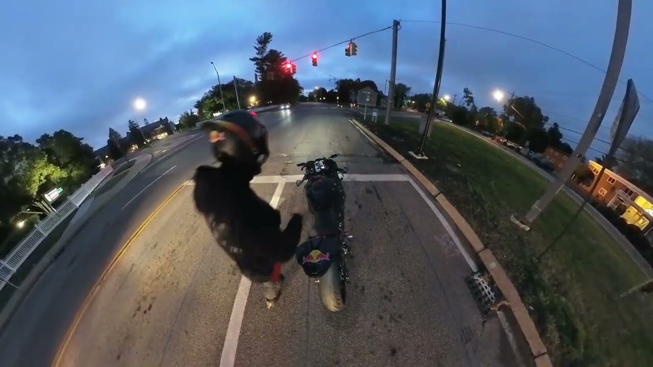 My first moto vlog and is full of action