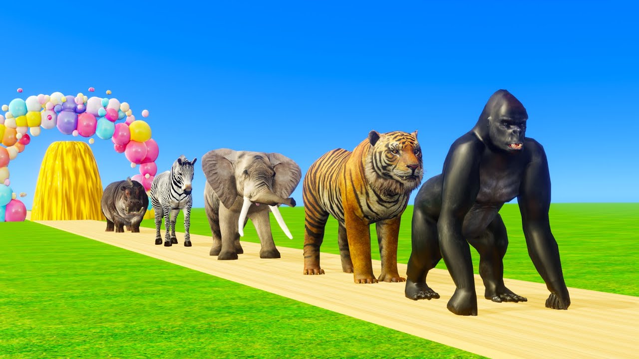 Long Slide Game with Cow Elephant Gorilla  Hippopotamus Tiger 3d - Animal Game Funny 3d Animals 0010
