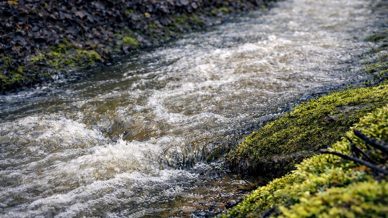 Relaxing Creek Sounds – 1.5 Hours Flowing Water | 4K Nature Ambience