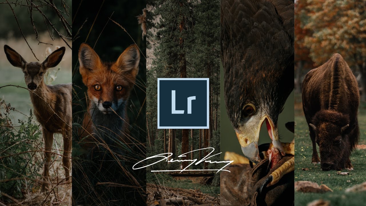 How to PROPERLY use LIGHTROOM PRESETS + My FREE Lightroom Preset!