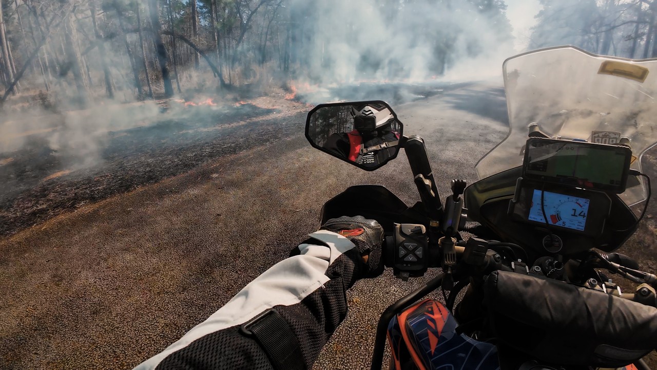 Riding through Fire and potholes - Davy Crocket National Park with the KTM 890 #ktm #adventure