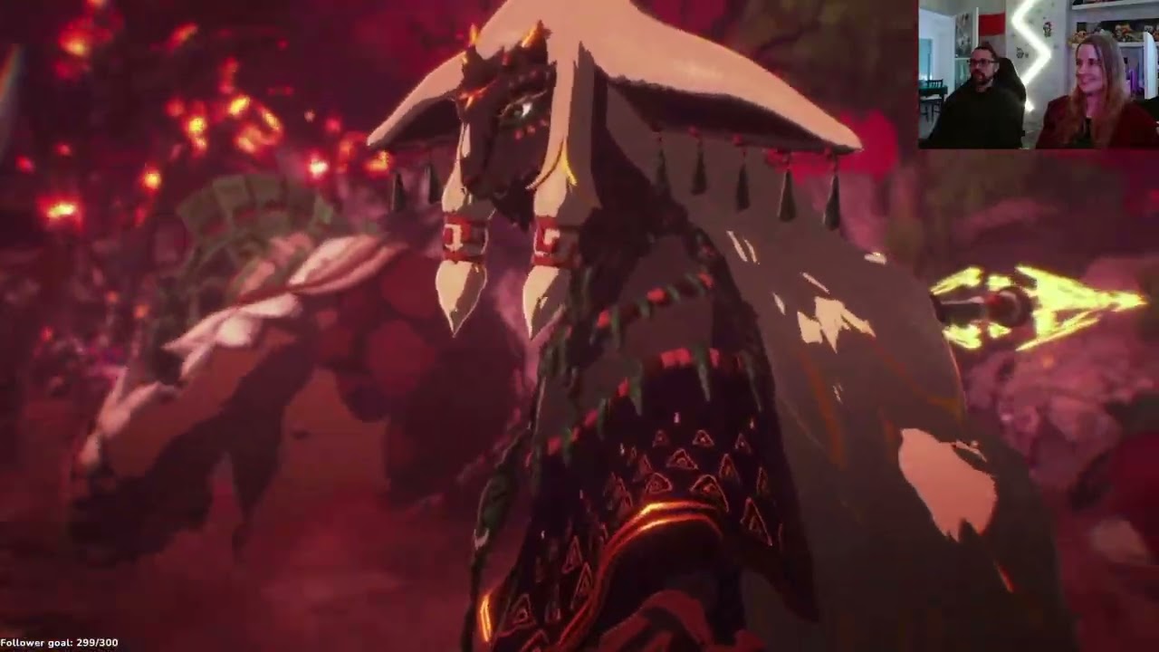 Part 8 - Hyrule Warriors: Age of Imprisonment - Switch 2