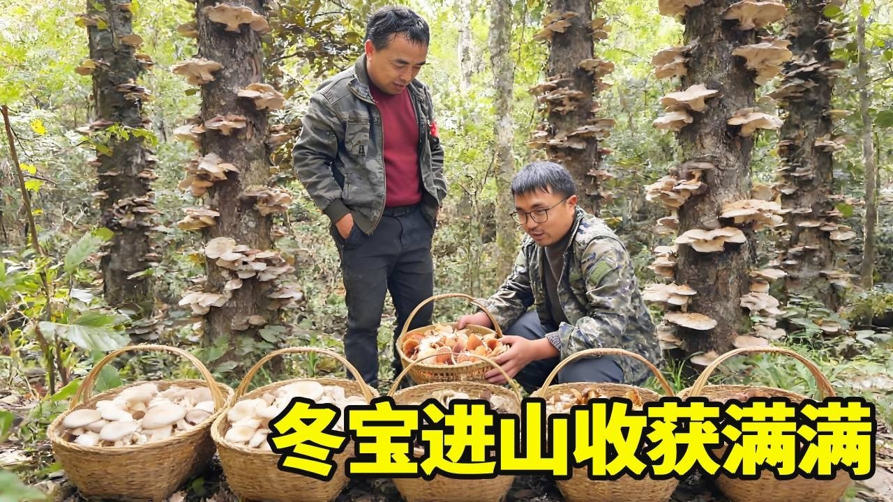 在益阳拜完年，冬宝迫不及待赶回湘西，又是满载而归收获满满的一天！【湘西冬宝】