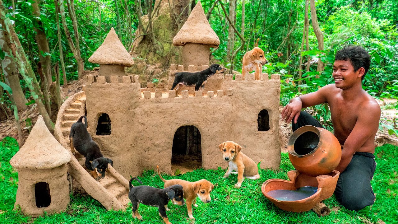 Rescue Abandoned Puppies and Build castle Dog House from Mud