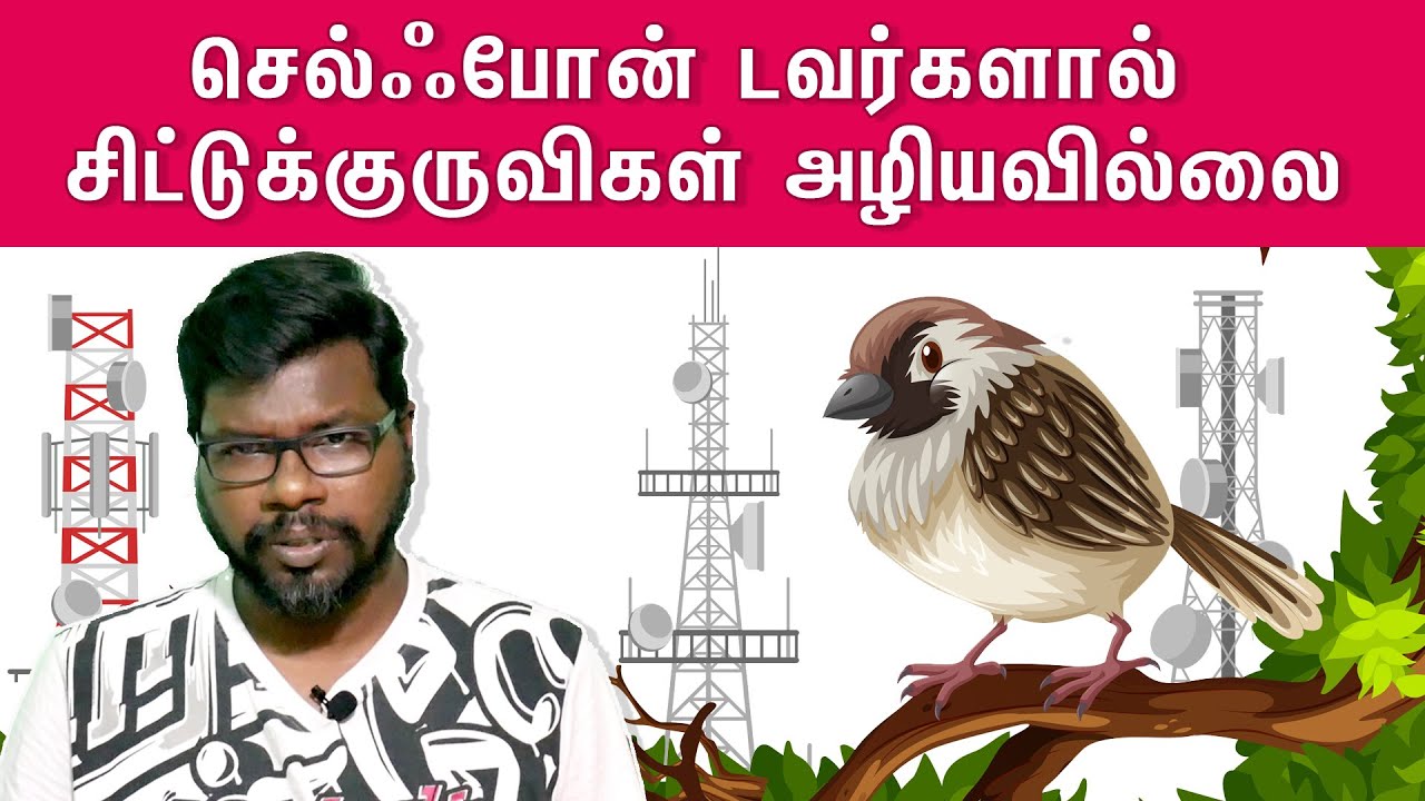Interesting Facts of Sparrows | சிட்டுக்குருவிகளின் அருமையான தகவல்கள்|Onriya Uyirinam|Big Bang Bogan