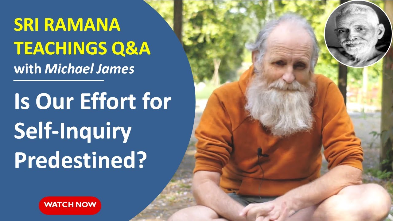 Is Our Effort for Self-Inquiry Predestined? (A Very Important Question Answered by Michael James)