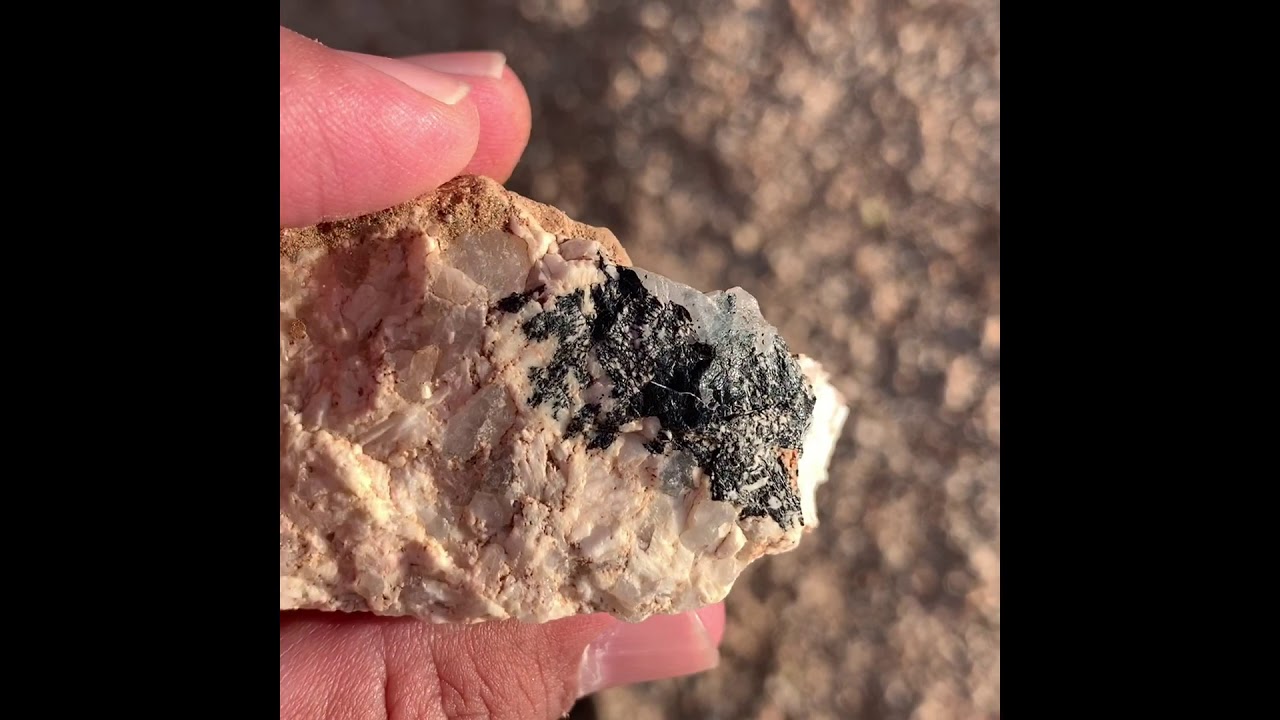 طلعة برية 🔥 وتنقيب في نفس الوقت ⛏