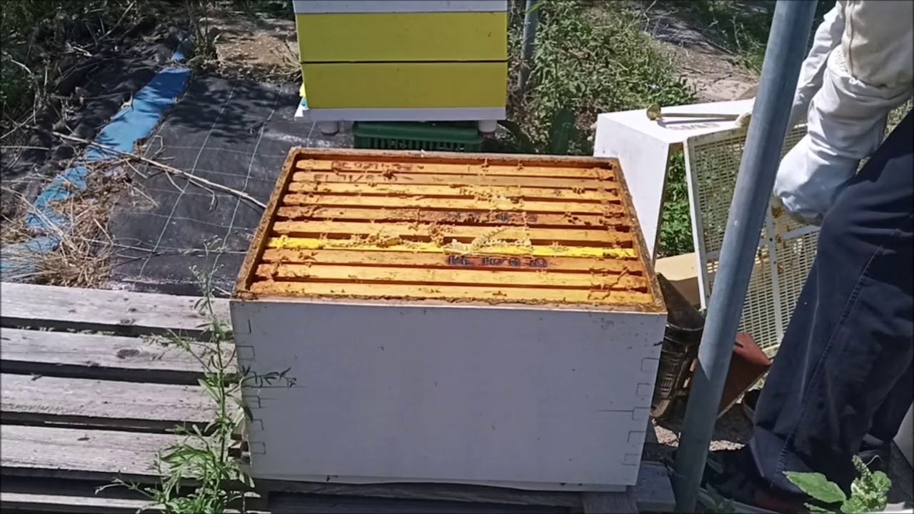 Καθάρισμα πλαισίων