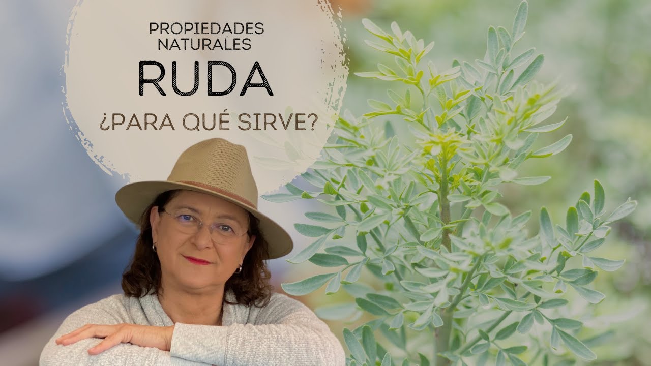 Increíbles secretos de la ruda en la cocina