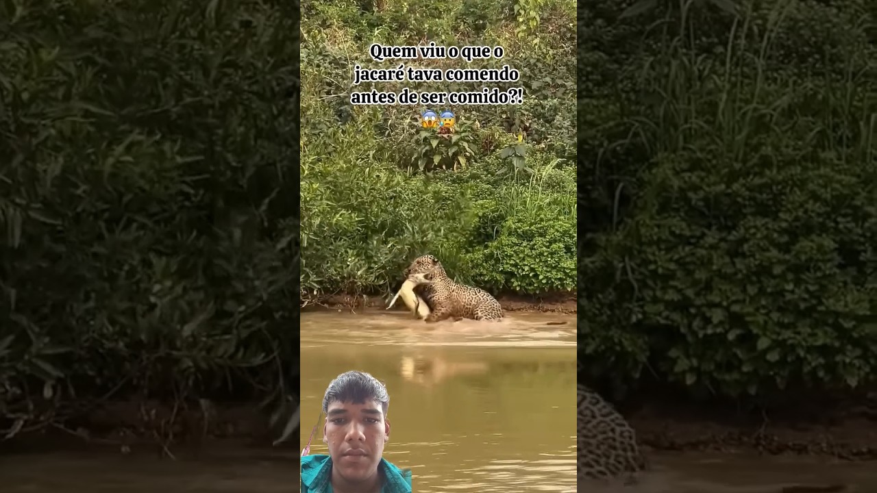 magarmacch ki hua maut #animals #wildanimals #lion #magarmacha #tiger #trending #hathi #yt #yt #yt