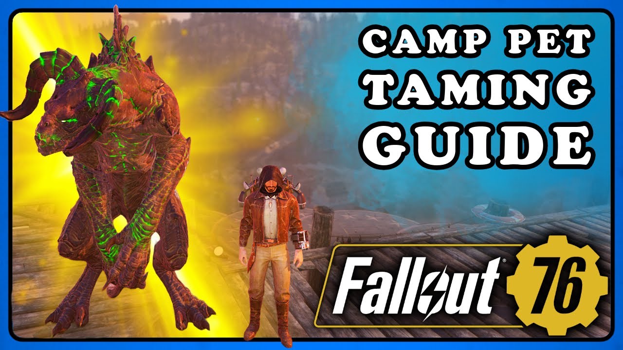 Fallout 76: How To Tame a Pet for CAMP. Animal Taming Guide Beginner to Advanced. Find a Pet.
