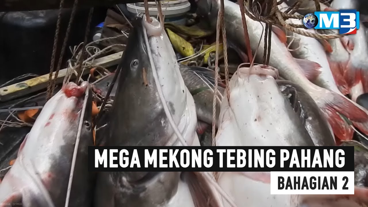 Majalah 3 | Mega Mekong Tebing Pahang Bhg 2