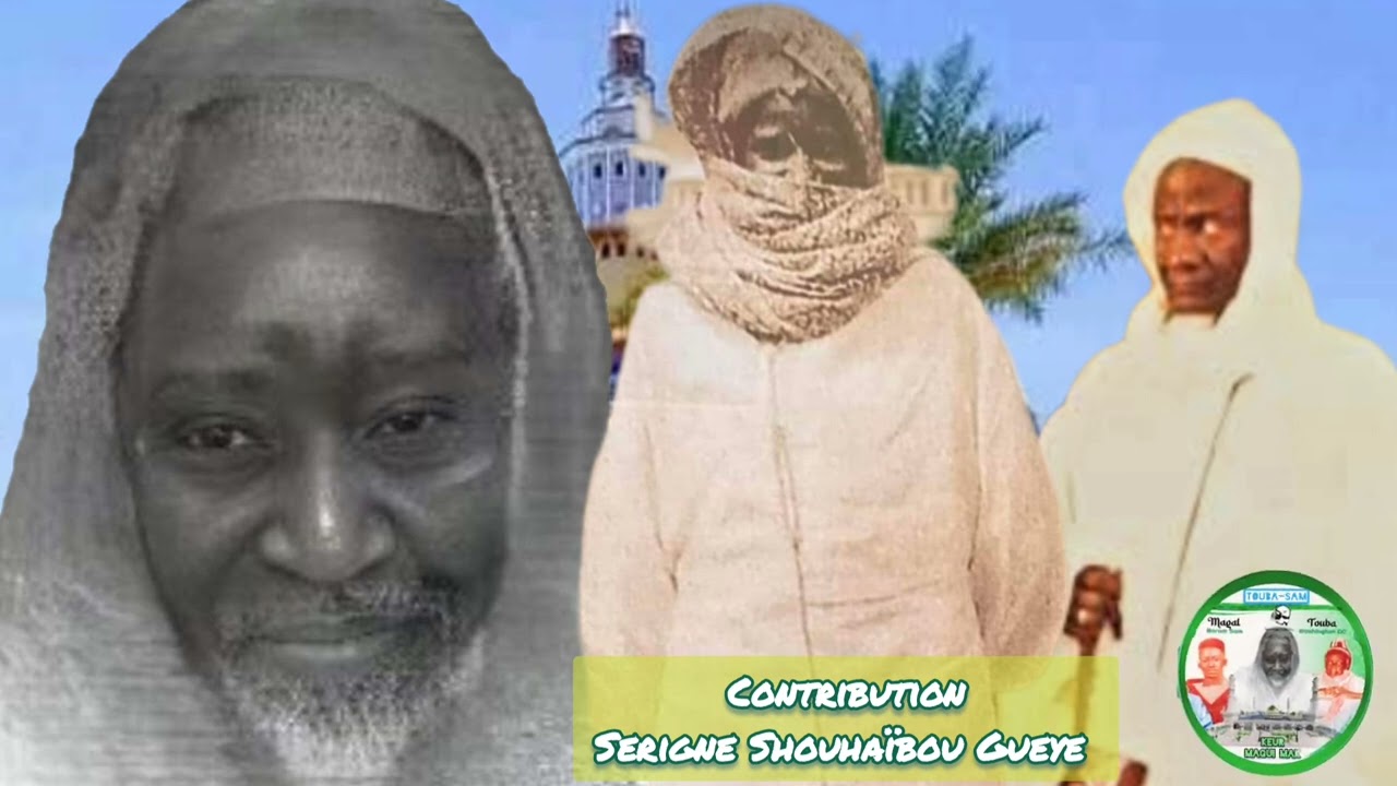 Contribution Serigne Shouhaïbou Gueye entre 