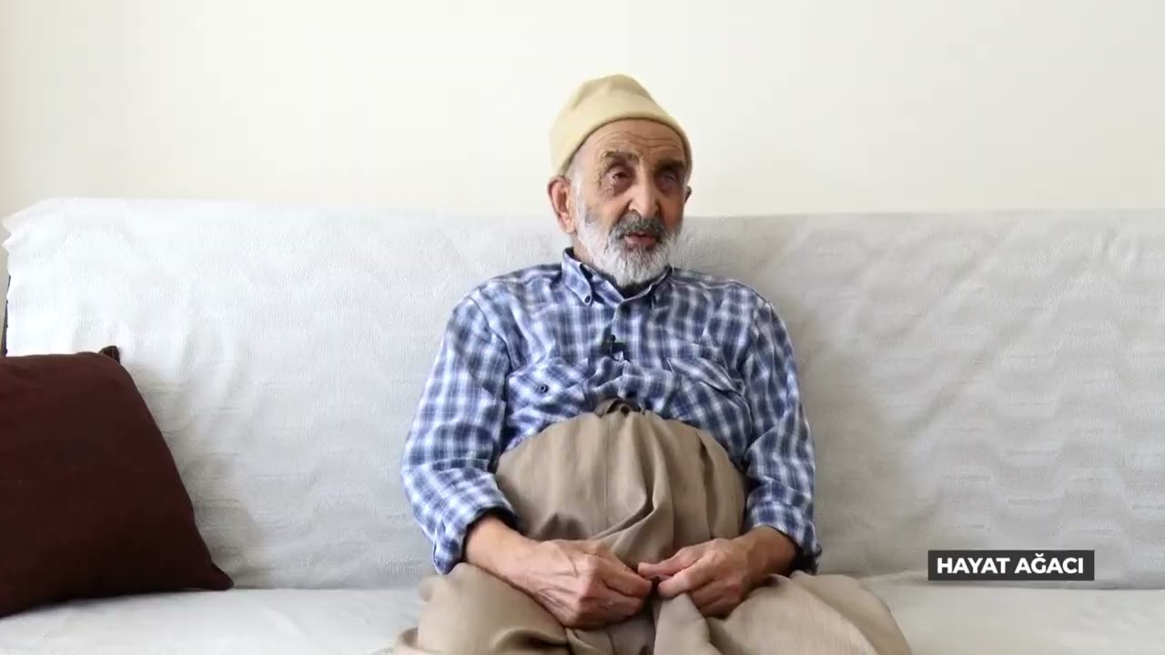 Hayat Ağacı