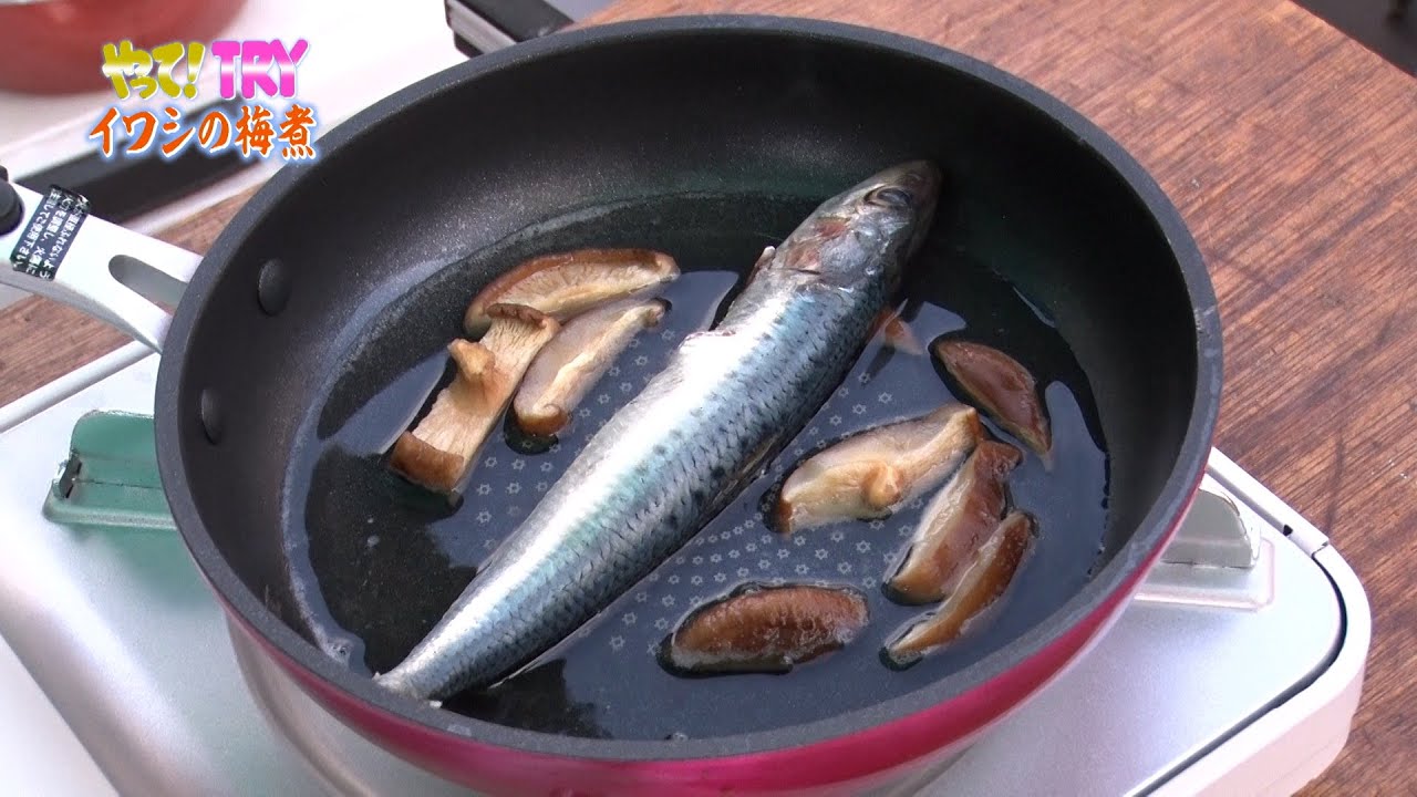 【やって！TRY 挑戦者編】イワシの梅煮をつくる