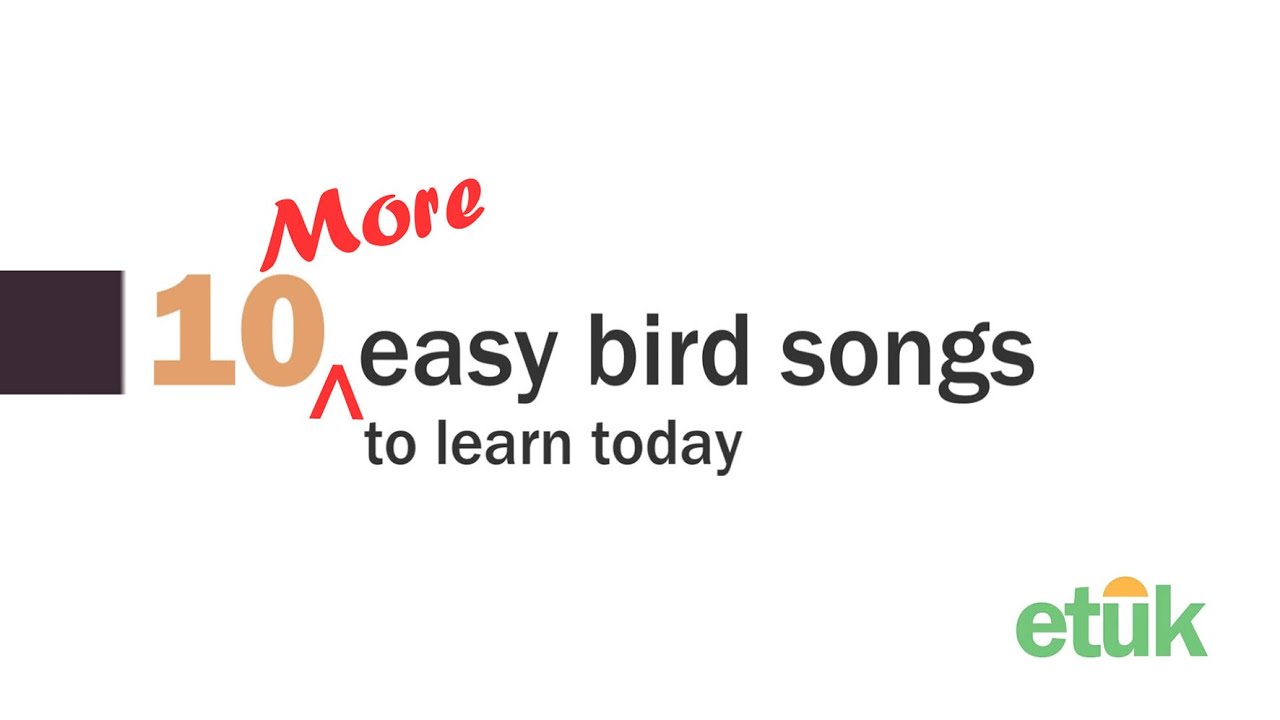 10 More Easy Bird Songs to learn