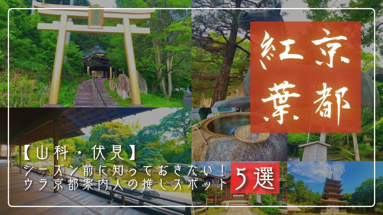 【山科・伏見】紅葉前に知っておきたい！ウラ京都案内人の推しスポット5選