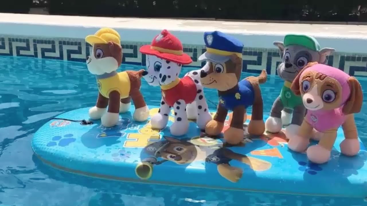Patrulla canina en la piscina / Videos de juguetes paw patrol para niños en español