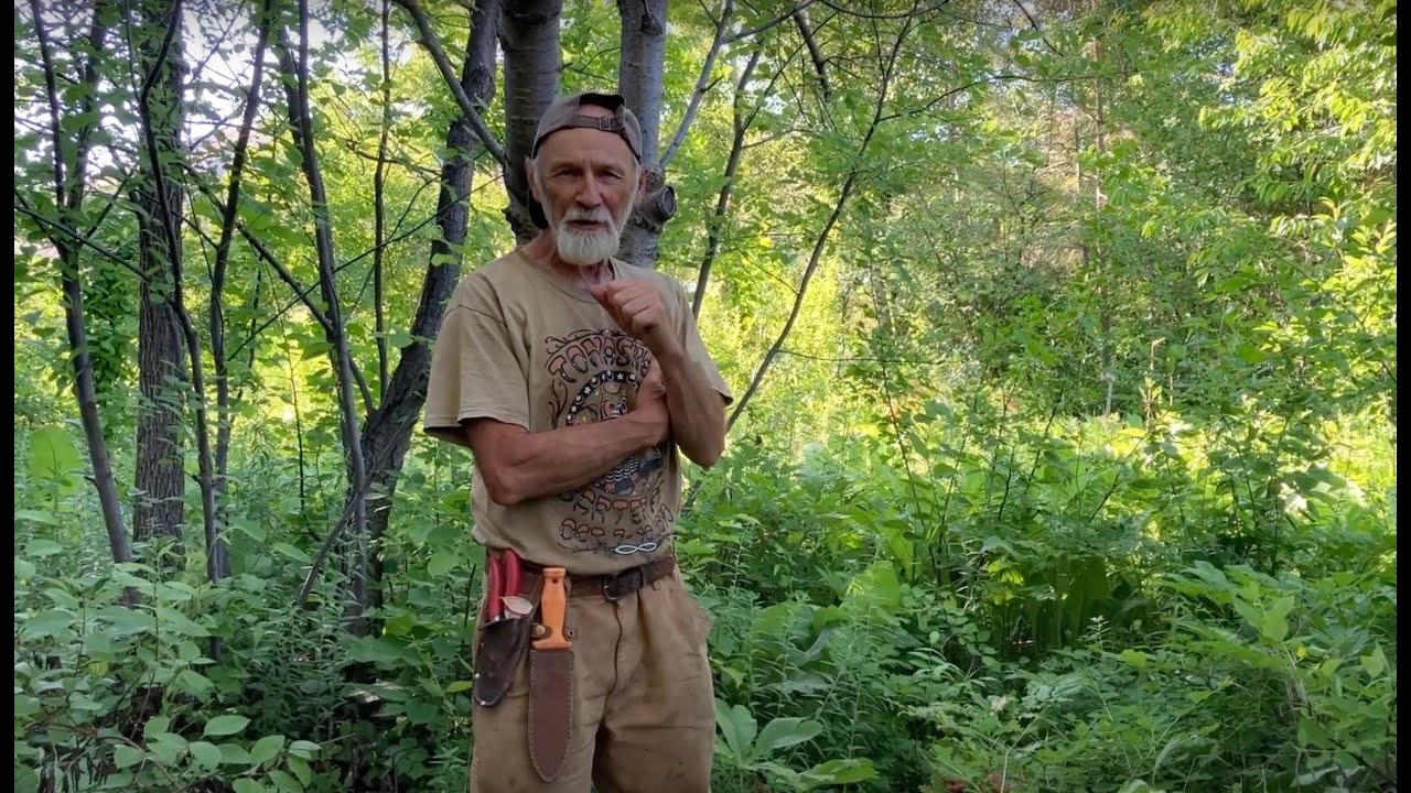 Growing Understory Plants with Michael Pilarski 