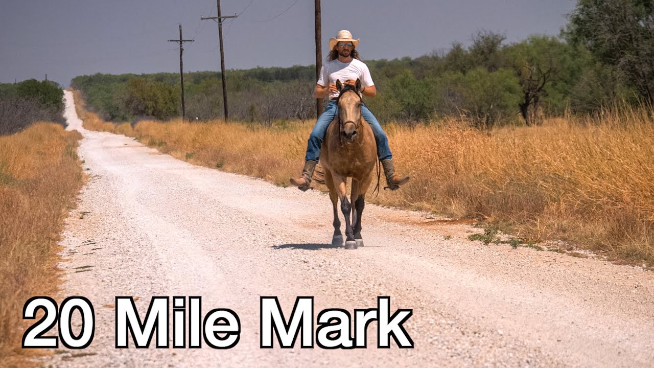 How far can I ride BAREBACK at a trot?! Rodeo Time 346