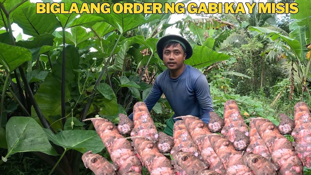 GUMUHO ANG BALAG NG PATULA MULI NATIN BINANGON