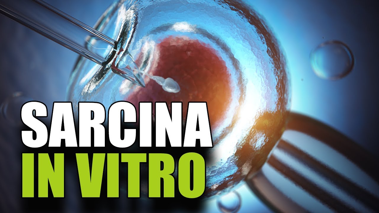 Cum se urmărește o sarcină obținută prin fertilizare in vitro?