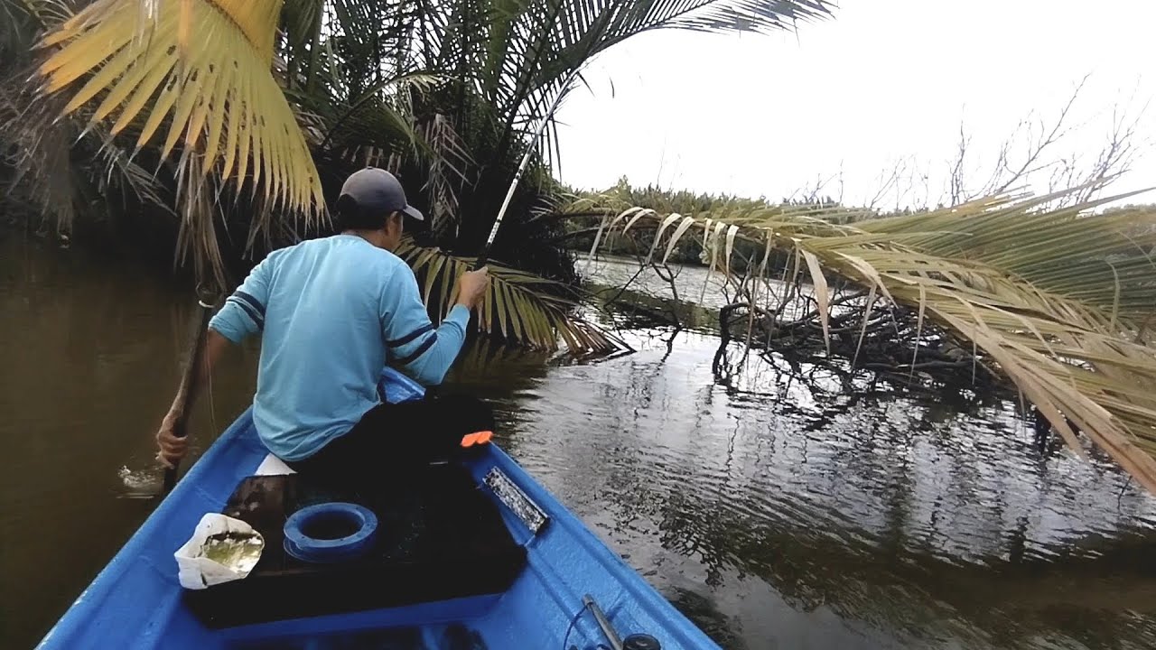 Hari terakhir mancing,,masih banyak Sambaran ikan,,#fishing 