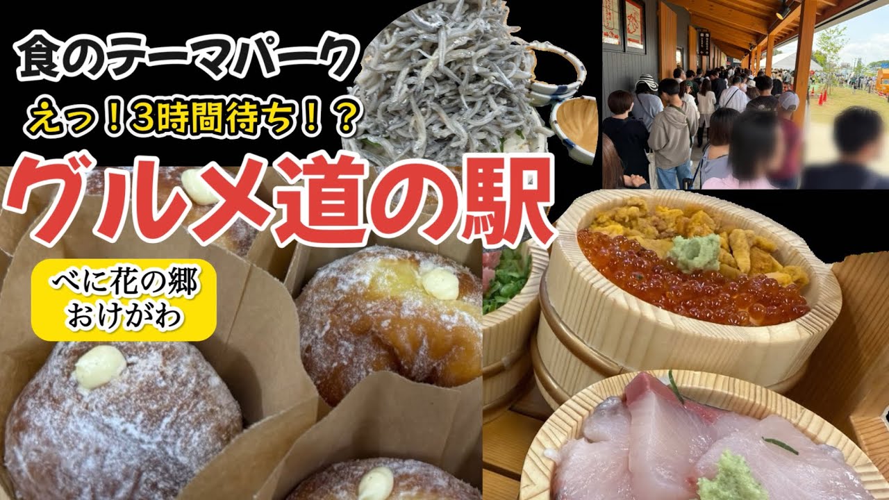 道の駅【べに花の郷おけがわ】『桶祭り海鮮丼』にもちもち『生ドーナツ』本当に食テーマパークだった！#海鮮#生ドーナツ#道の駅桶川