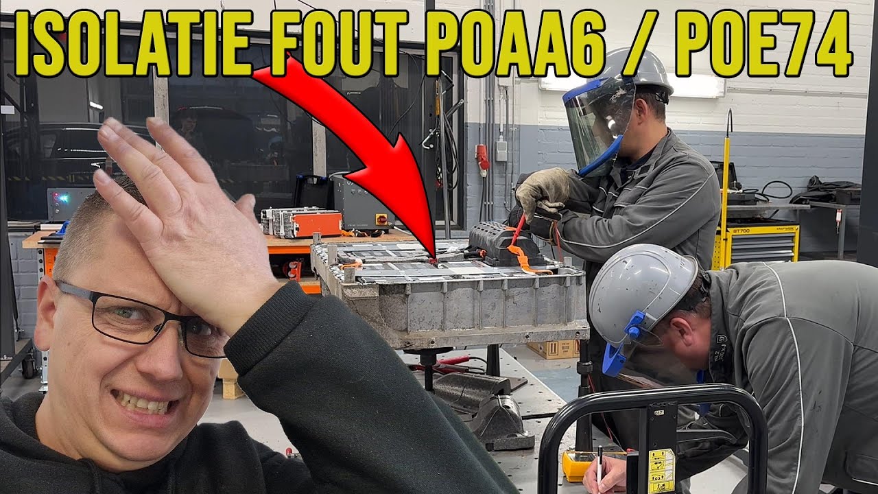 Help, hybride accu probleem! | Met mijn dochter een auto kopen in Duitsland