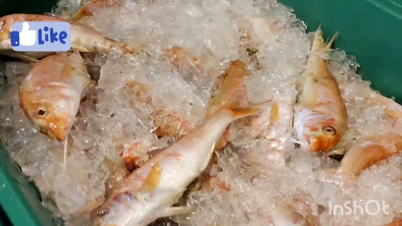 Mercado de peixe São Pedro em Niterói mostrando os preços