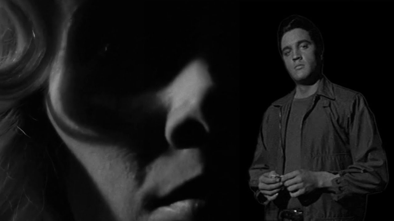 SUSPICION~ELVIS