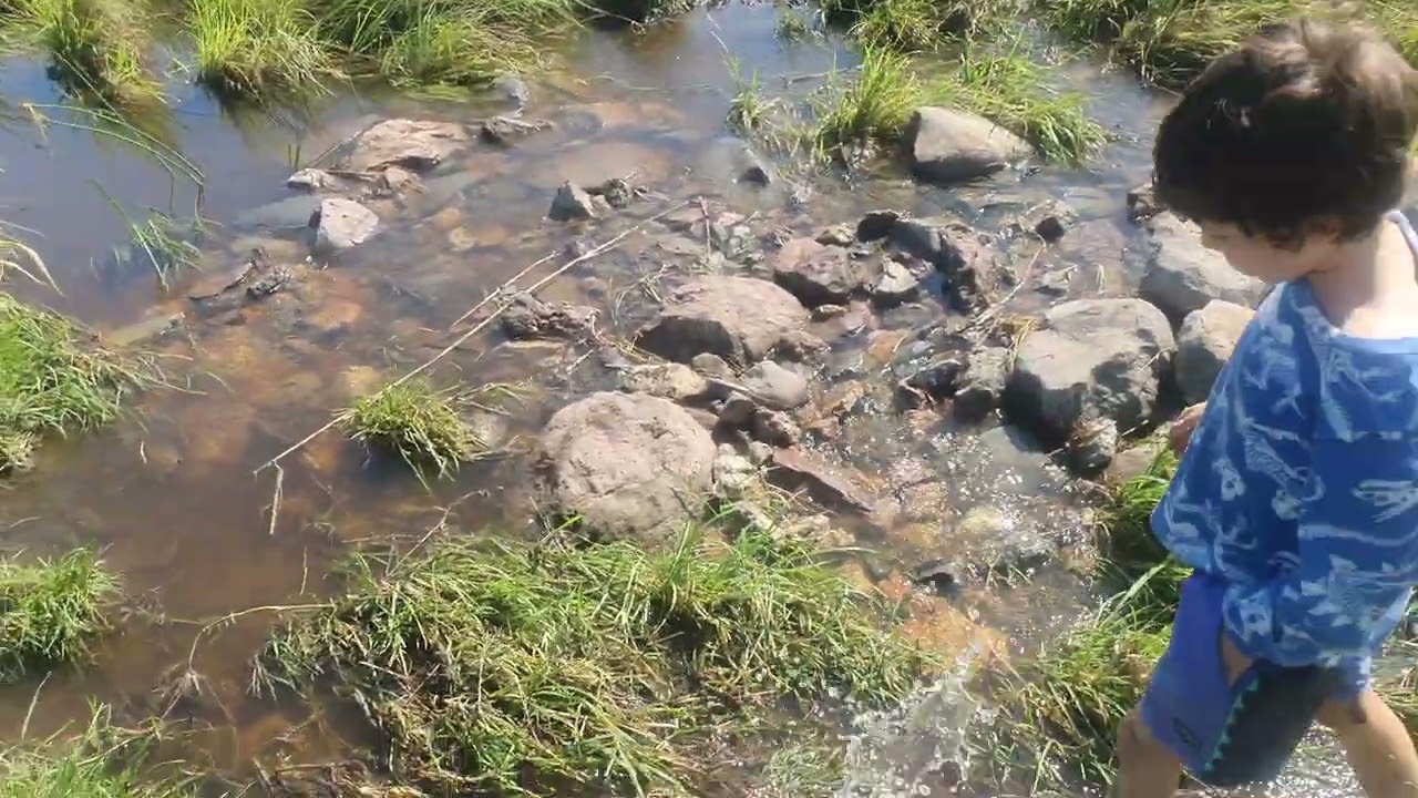 Rock weirs & ponds in incised gully.