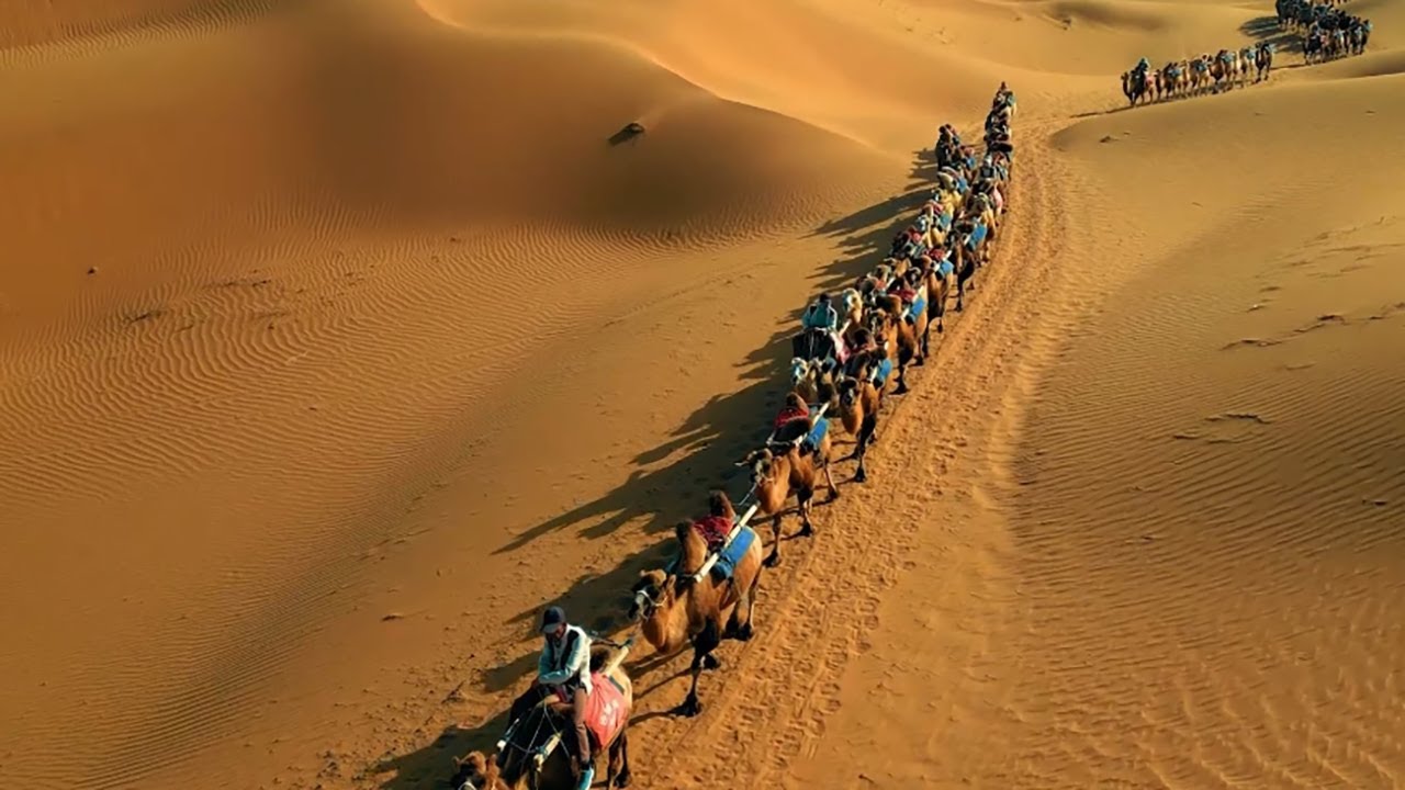 Exploring Ningxia: A blend of culture and tourism delights