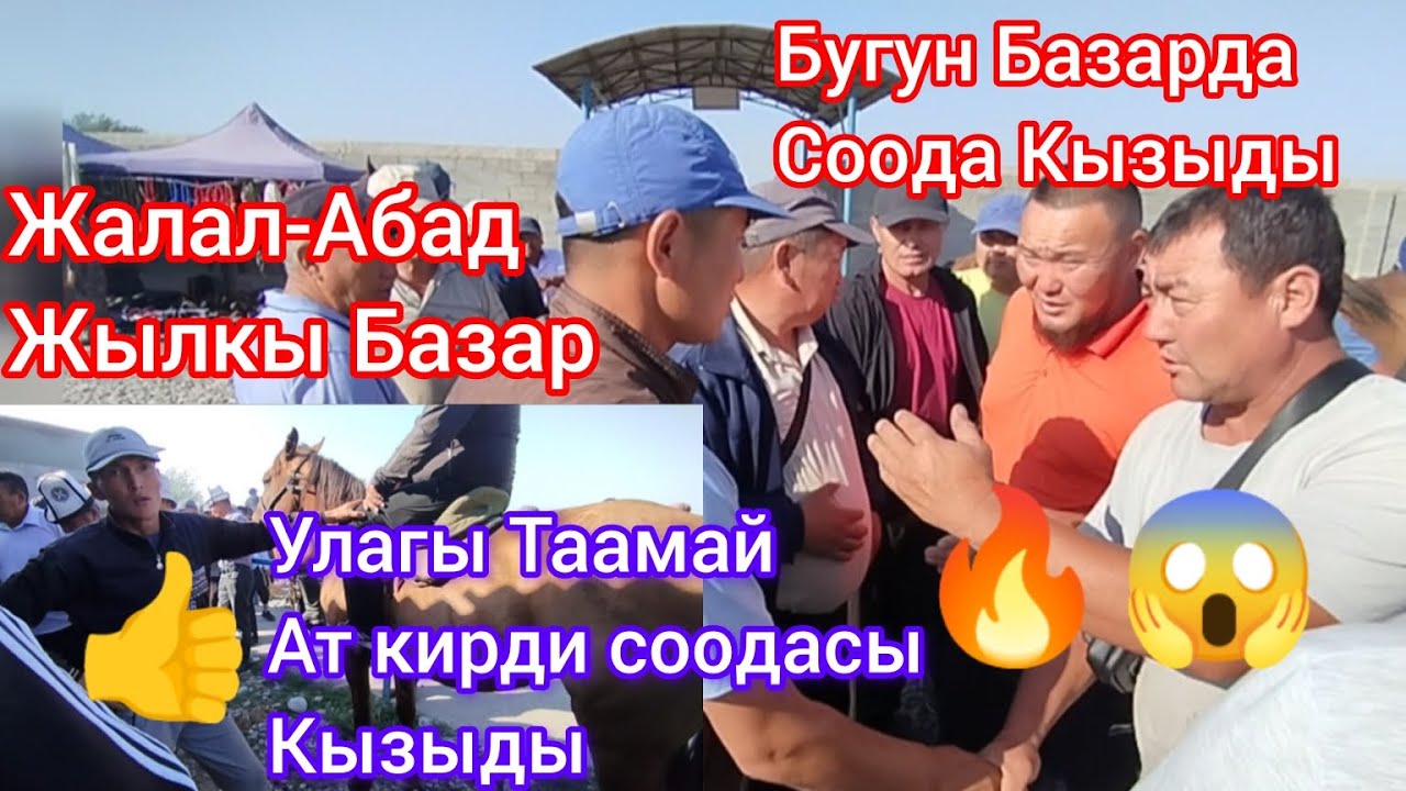 Жылкы Базар Жалал-Абад