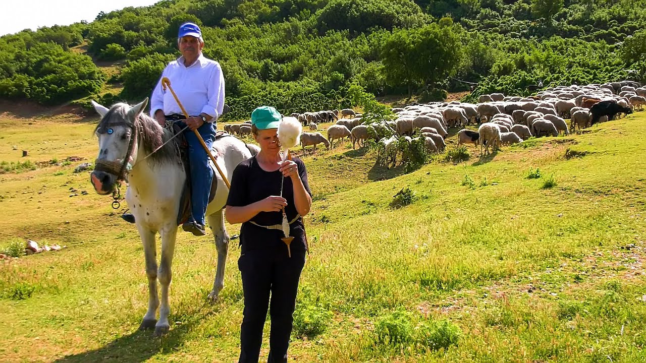 Ο τσέλιγκας της Θεσσαλίας με το κοπάδι του | Greek Village Life