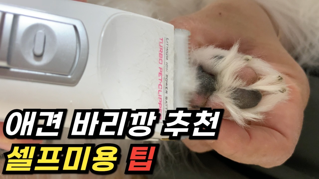 애견 바리깡 강력추천!!! 바비온 클리퍼 ㅣ 럽마이펫 진공 미용기 ㅣ 강아지, 고양이 이발기 추천 후기