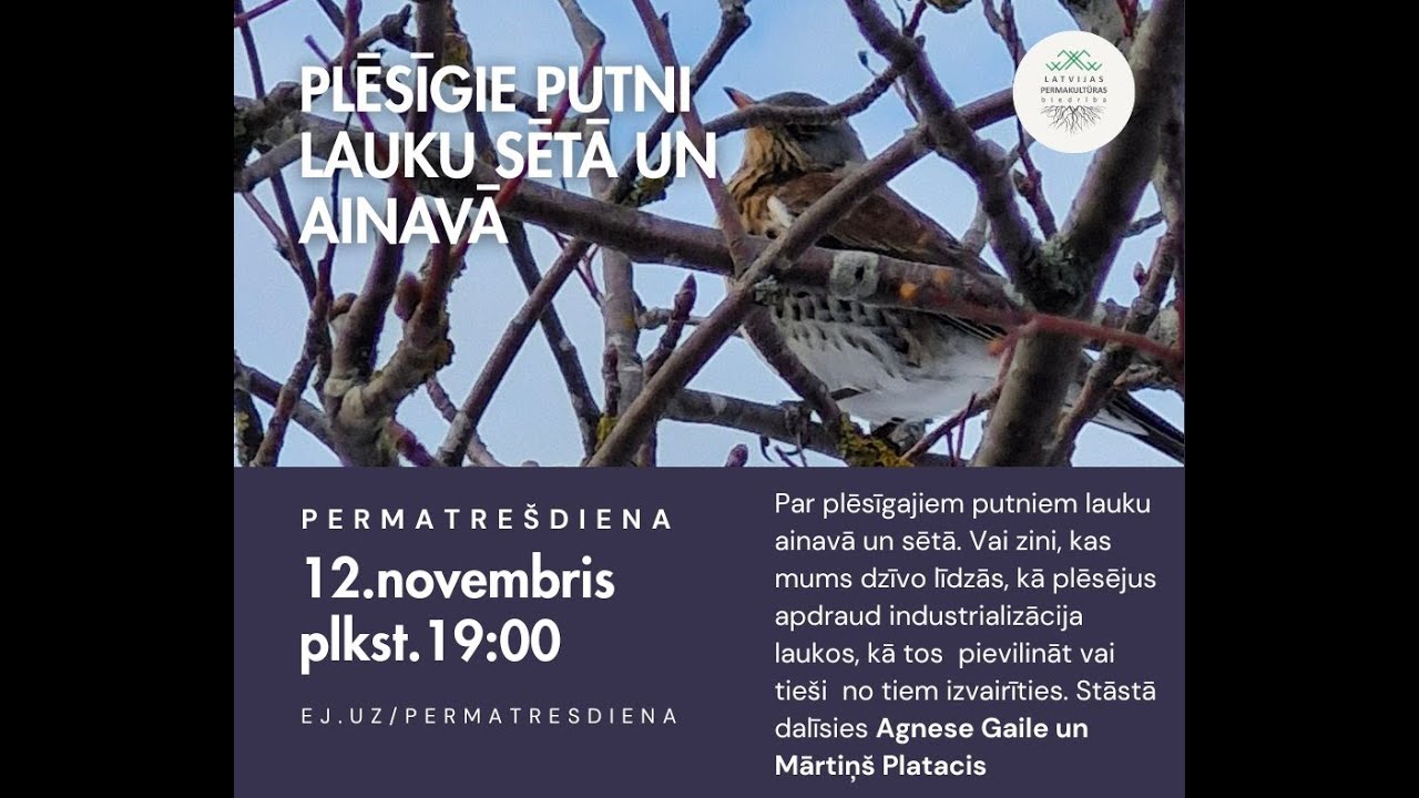 Plēsīgie putni lauku sētā. Agnese Gaile & Mārtiņš Platacis (Permatrešdiena 4.sezona)