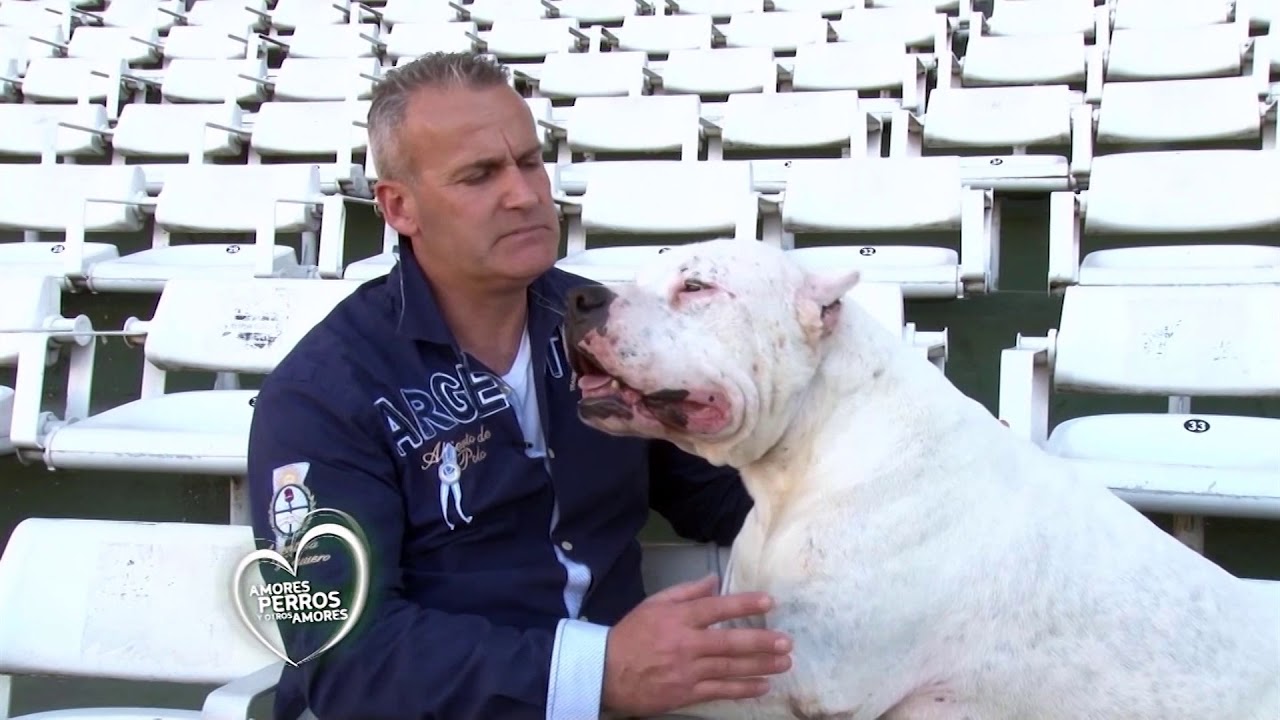 El Dogo Argentino en el cine - Película el Perro