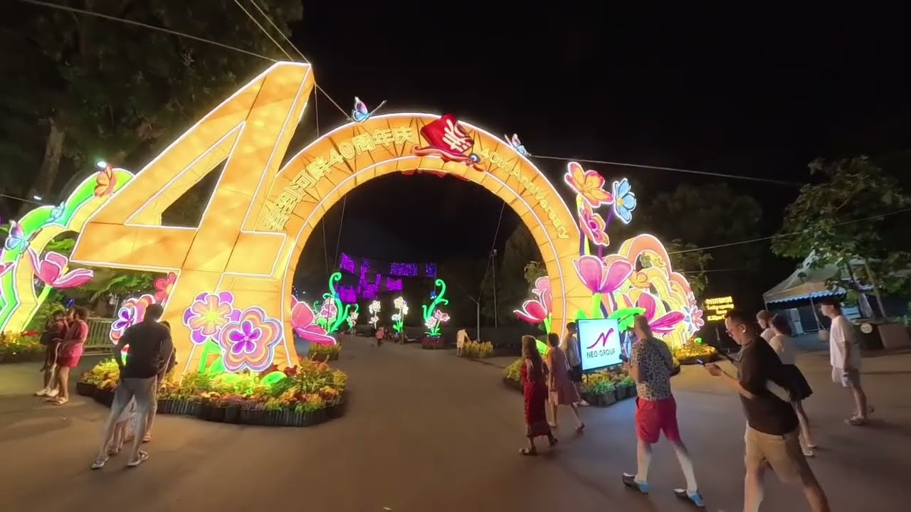 Lunar New Year 🧧 